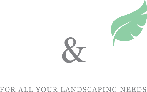 Jones & Jones Group